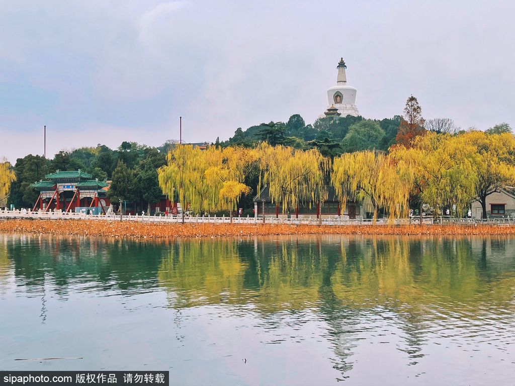 北海公園白塔與湖畔景色