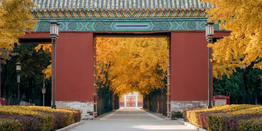 地壇公園紅牆與銀杏秋色